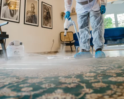Carpet Cleaning by  The Healthy Home