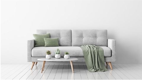 Interesting facts about Sofas that are not cleaned for 12 months