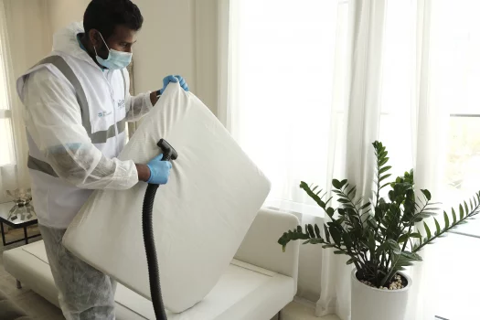 sofa cleaning in dubai by The Healthy Home